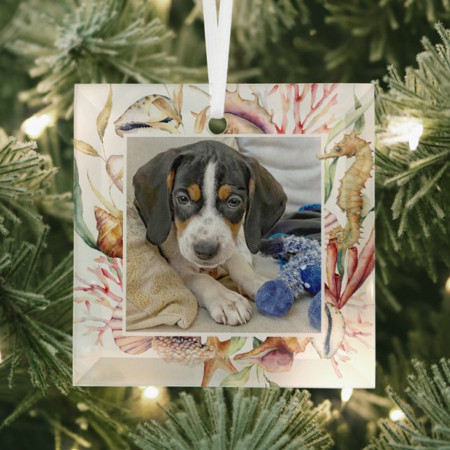 Custom Pet Foto Beach Weihnachten Ornament Aus Glas (Insitu)