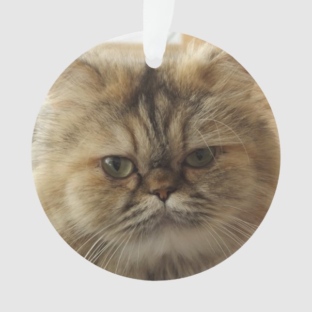 CUSTOM PET FOTO CAT ORNAMENT (Vorderseite)