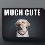 Custom Pet Foto Funny Much Niedlicher Meme Stil Fotoplatte<br><div class="desc">Erstellen Sie ein lustiges, individuelles Foto-Geschenk, wenn Sie Ihr eigenes Foto zu dieser MUCH NIEDLICHE Display-Plakette hinzufügen. Diese Desktop- oder Tischplatte ist im Stil eines Internet-Memes mit dem Satz MUCH NIEDLICH in fett weiß und schwarz Schrift über dem oberen Rand Ihres Fotos. Es ist großartig, um lustige und goofy Fotos...</div>