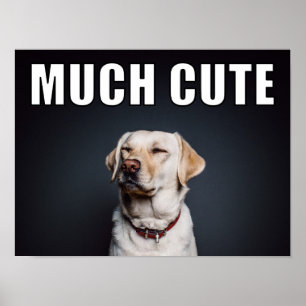 Custom Pet Foto Funny Much Niedlicher Meme Stil Poster