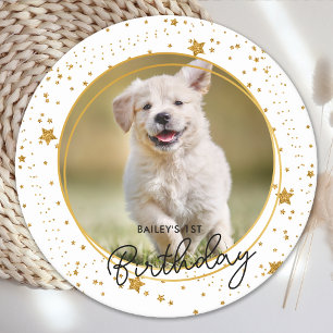 Custom Pet Foto Gold Glitzer Stars Hund Geburtstag Runder Pappuntersetzer