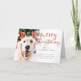 Custom Pet Foto Script Frohe Weihnachten geklappt