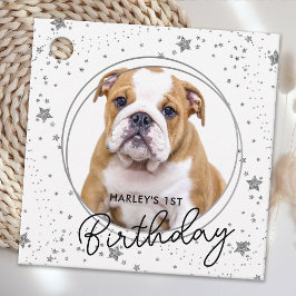 Custom Pet Foto Silver Glitzer Stars Hund Geburtst Geschenkanhänger