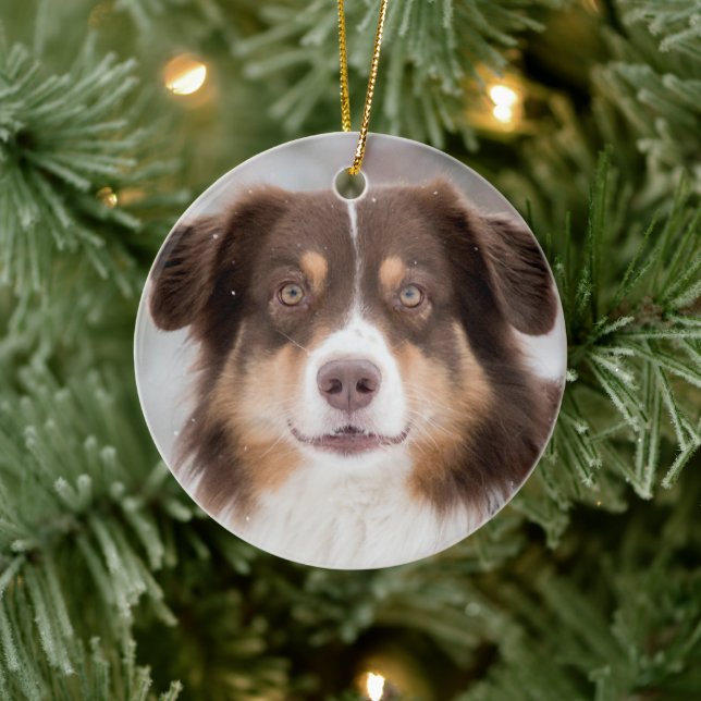 Custom Pet Hund 2 Foto Weihnachten Keramik Ornament (Baum)