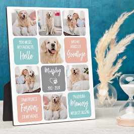 Custom Pet Hund Memorial Chic Pastellfarben 7 Foto Fotoplatte