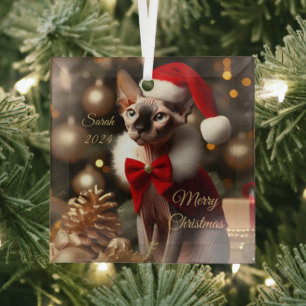 Custom Pet Name Foto Sphynx Cat Christmas 2024 Ornament Aus Glas