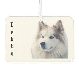 Custom Pet Photo Freshener Autolufterfrischer