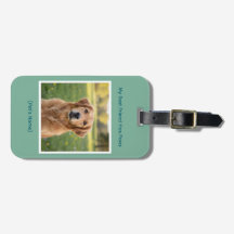 Custom Pet Photo & Name Durable
