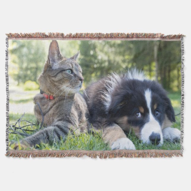 Custom Pet Throw Blanket Decke (Vorderseite)
