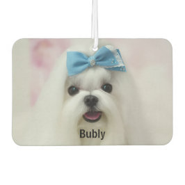 Custom Photo Text Logo Personalized Branding Autolufterfrischer