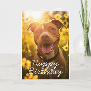 Custom Pitbull Birthday Card Dankeskarte