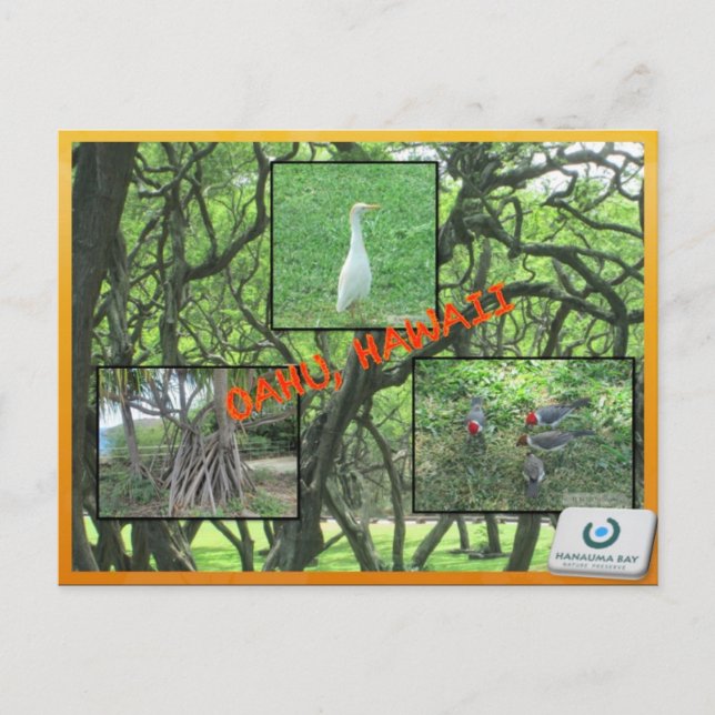 CUSTOM POSTCARDS- HAWAII COLLAGE# 14 POSTKARTE (Vorderseite)