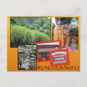CUSTOM POSTCARDS- HAWAII COLLAGE# 25 POSTKARTE