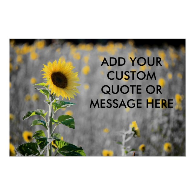 Custom Quote Field of Sunflowers Poster (Vorderseite)