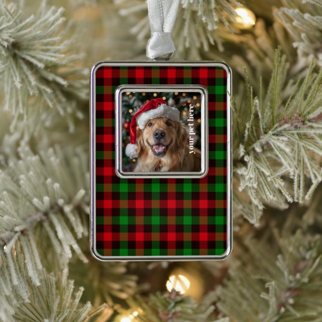 Custom Rahmen-Ornament Silber (Baum)