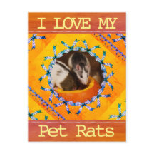 Custom Rat Photo I Love my Pet Rats