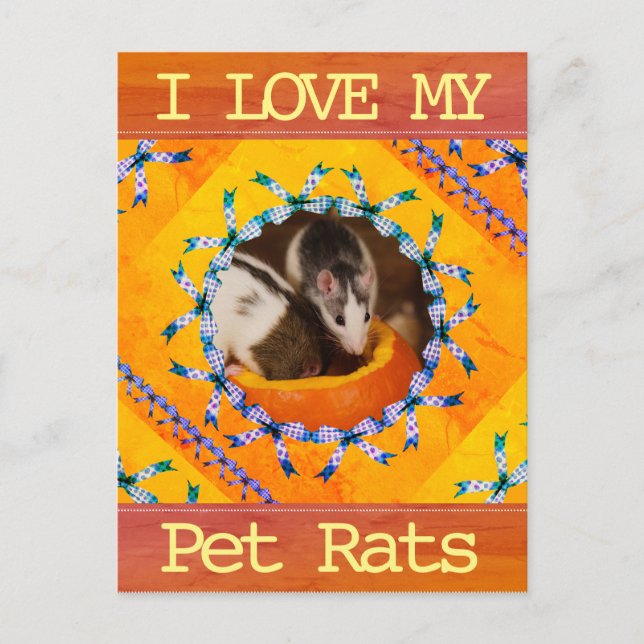 Custom Rat Photo I Love my Pet Rats Postkarte (Vorderseite)