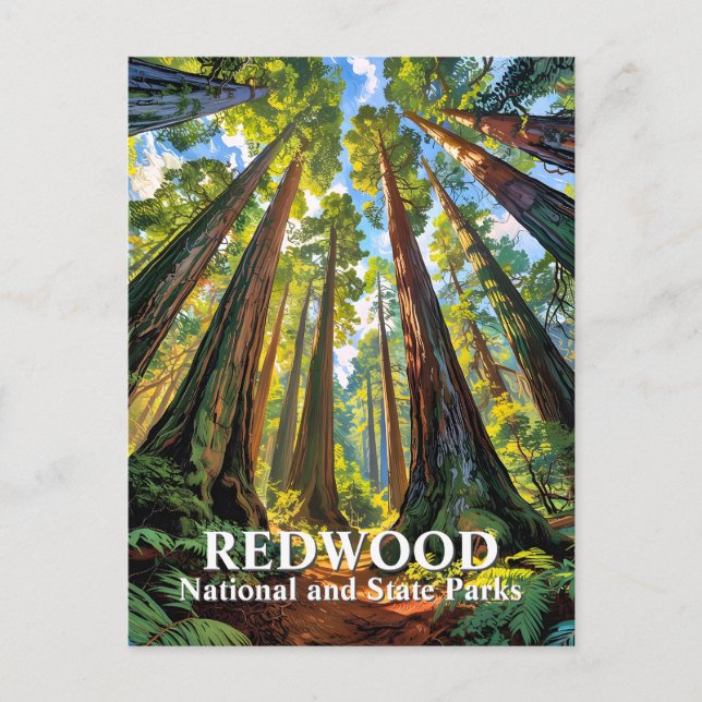Custom Redwood National Park Trees Painting Travel Postkarte (Vorderseite)