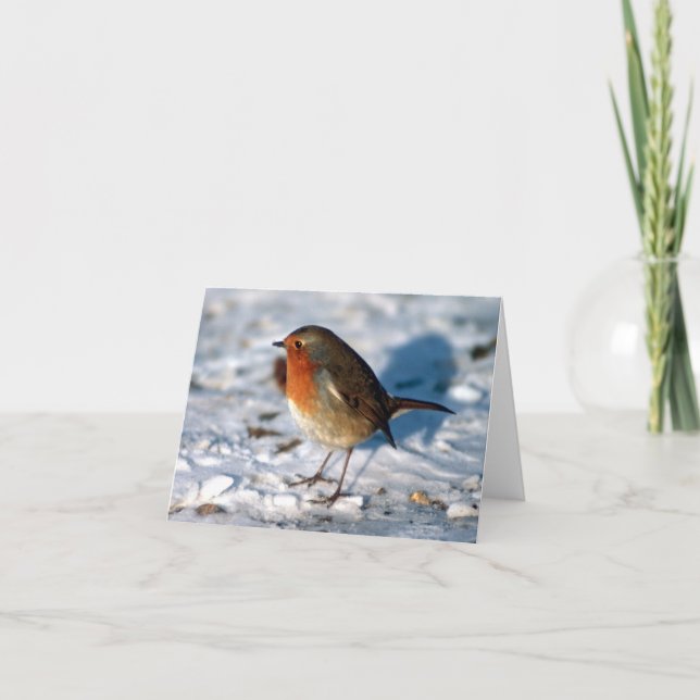 Custom Robin in Snow Feiertagskarte (Vorderseite)