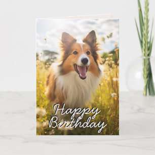 Custom Shetland Sheepdog Geburtskarte Dankeskarte