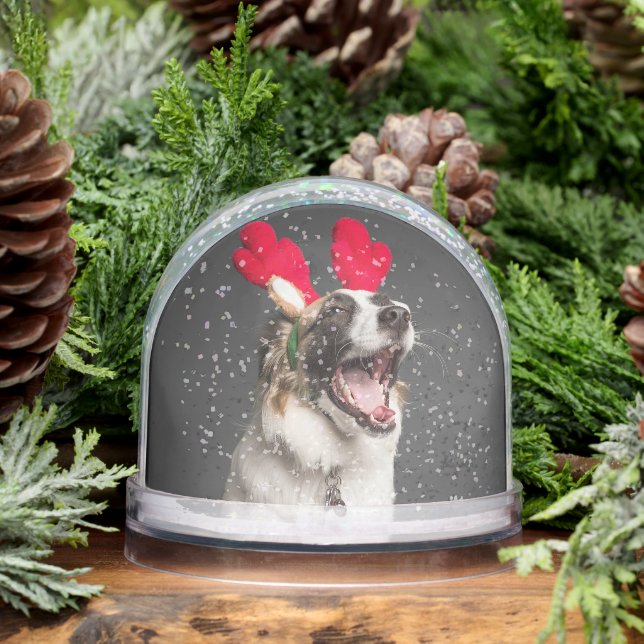 Custom Snow Globe with Your Dog’s Photo Schneekugeln (Winter)