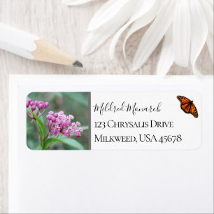 Custom Swamp Milkweed Foto Native Wildblume