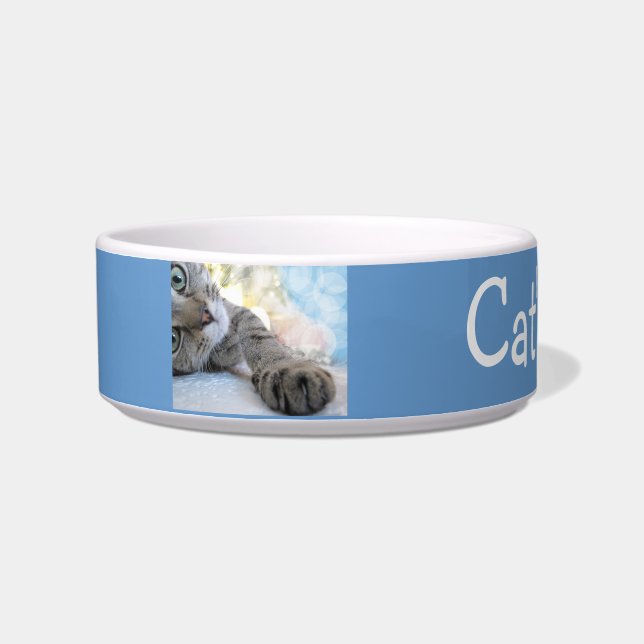 Custom Tabby Cat Pet Bowl Napf (Links)