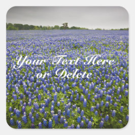 Custom Text Blue Spring Bluebonnets Texas Blume Quadratischer Aufkleber