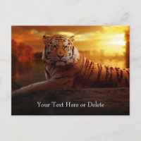 Custom Text Gorgeous Orange Wild Tiger Gold Sunset