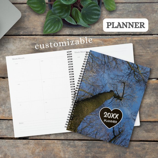 Custom Tree Crown Branches on blue Sky Photo - Planer (Von Creator hochgeladen)