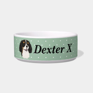 Custom Tri Cavalier King Charles Spaniel     Napf