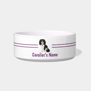 Custom Tri Color Cavalier King Charles Spaniel Napf