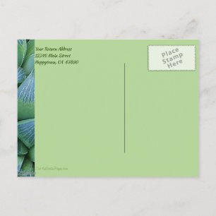 Custom Vielen Dank Green Succuled Pflanze Postcard Postkarte
