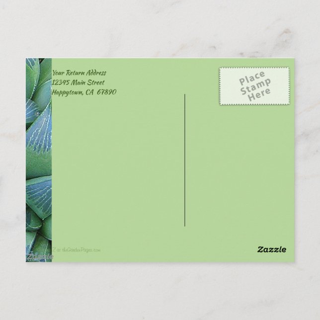 Custom Vielen Dank Green Succuled Pflanze Postcard Postkarte (Rückseite)