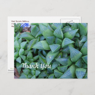 Custom Vielen Dank Haworthia Pflanze Postcard Postkarte