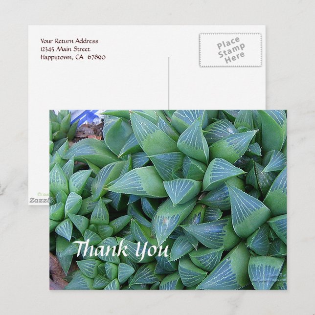 Custom Vielen Dank Haworthia Pflanze Postcard Postkarte (Vorne/Hinten)
