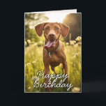 Custom Vizsla Birthday Card Dankeskarte<br><div class="desc">Machen Sie sich bereit, Ihre Schwänze mit Freude zu wühlen, denn diese Geburtstagskarte ist voller goldener Sonne! Diese Karte mit einem strahlenden Vizsla mit ihrem charakteristischen fröhlichen Grinsen und verspieltem Funkeln in den Augen ist perfekt für den Menschen, der jedem um sich herum grenzenloses Glück bringt. Anpassungsoptionen: Ändern Sie den...</div>