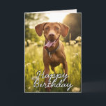 Custom Vizsla Birthday Card Dankeskarte<br><div class="desc">Machen Sie sich bereit, Ihre Schwänze mit Freude zu wühlen, denn diese Geburtstagskarte ist voller goldener Sonne! Diese Karte mit einem strahlenden Vizsla mit ihrem charakteristischen fröhlichen Grinsen und verspieltem Funkeln in den Augen ist perfekt für den Menschen, der jedem um sich herum grenzenloses Glück bringt. Anpassungsoptionen: Ändern Sie den...</div>