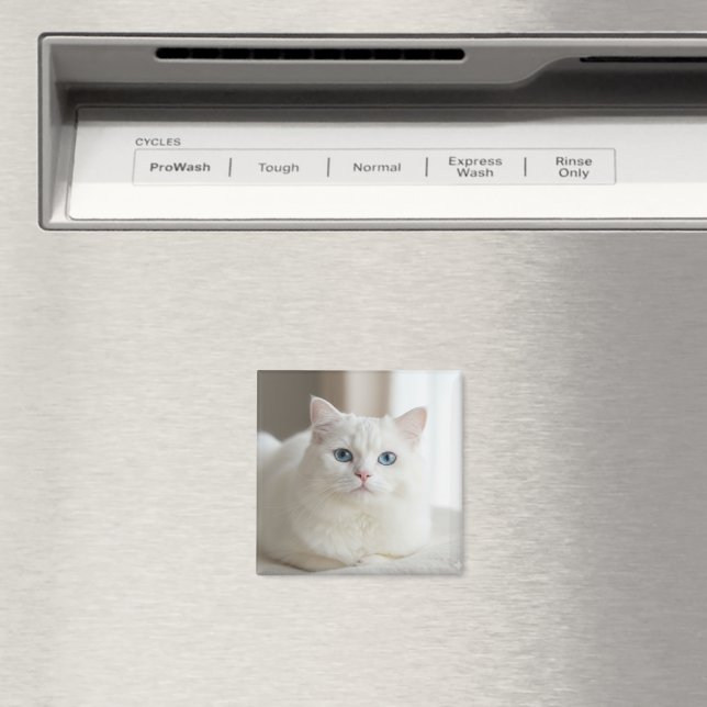 Custom white cat photo magnet for fridge (In Situ (Geschirrspüler))