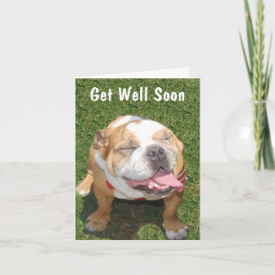 Customizable Bull Dog Get Well Card Karte