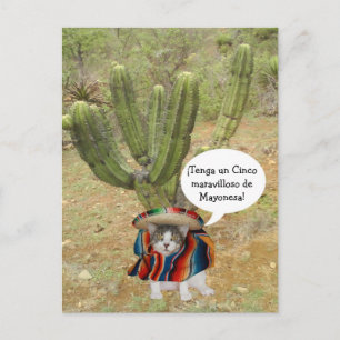 Customizable Cinco de Mayo Postkarte
