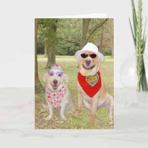 Customizable Funny Dogs Feiertagskarte