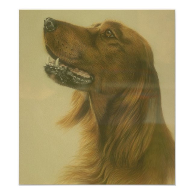 Customizable Irish Setter Art Poster (Vorne)