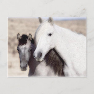 Customize Horse Party Invitations and Cards Postkarte