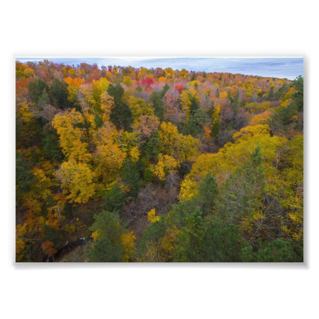 Cut River Tal, Fall, Michigan Fotodruck (Vorne)