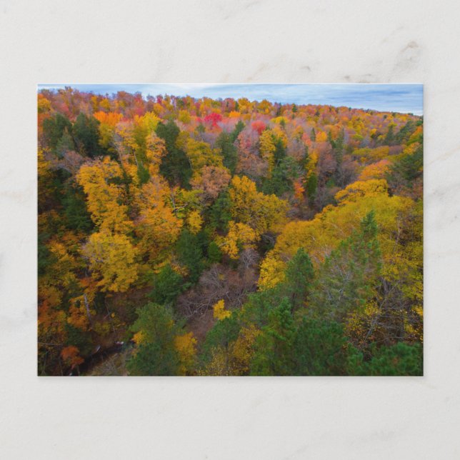 Cut River Valley im Herbst, Michigan Postkarte (Vorderseite)