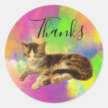 Cute Adorable Kitty Cat Thank You Abstract Rainbow