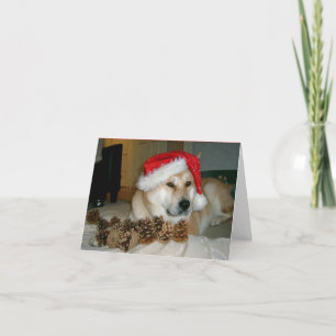 Cute akita in red santa hat with christmas cones feiertagskarte