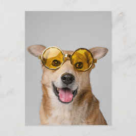 cute and funny dog with glasses  postkarte
