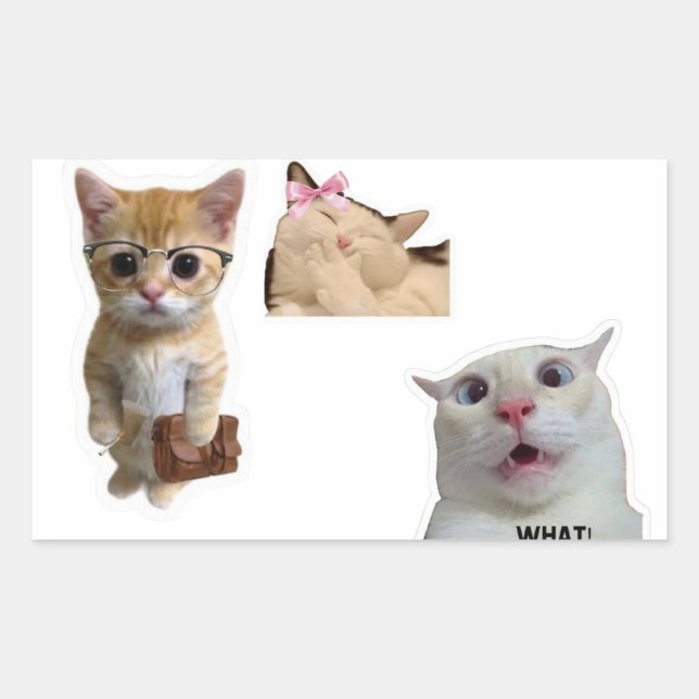 Cute Artistic Aesthetic Sticker for Laptop  (Vorderseite)